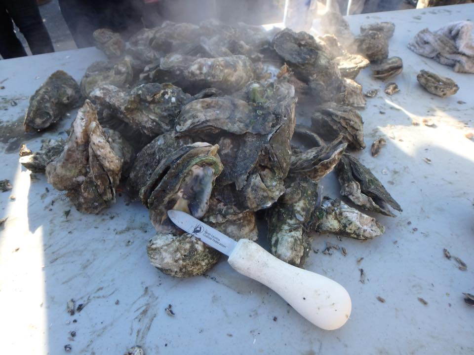 Pile of Oysters on a table