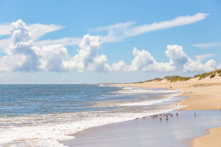 Hatteras Beaches